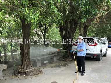 寮步社区四害消杀工程